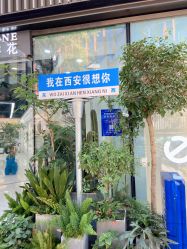 -好看加白色房子