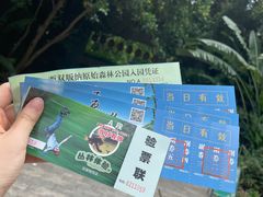 -西双版纳原始森林公园