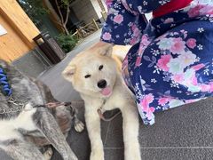 -大江户·温泉洗浴(浑南店)