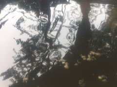 -思念果岭悦温泉