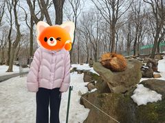 -宫城藏王狐狸村