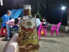 -浪琴湾度假村