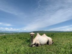-新疆那拉提国家旅游度假区