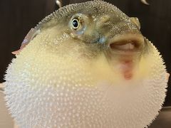 -永安鱼庄·镇江菜(东吴路店)