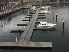 -悉尼海洋生物水族馆