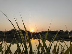 -福田红树林生态公园