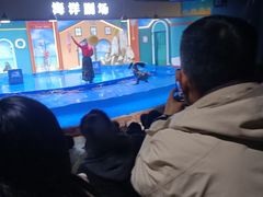 -重庆欢乐海底世界