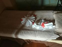 -虎杖传说·还元生活馆