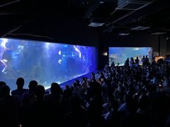 -江和美海洋公园