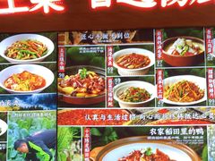 -杨厨的田园饭店(长城路店)