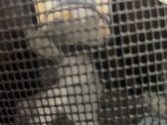 -宠福鑫康馨动物医院·骨科·眼科