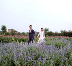 -蒙娜丽莎婚纱摄影(南门店)