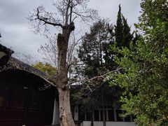 -苏州碑刻博物馆