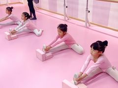 -桃子公主舞蹈培训(万柳校区)