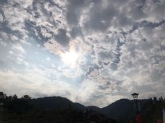 -广州白江湖森林公园