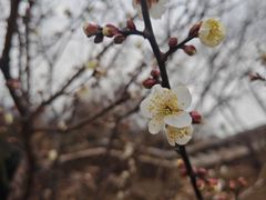 -缥缈峰景区