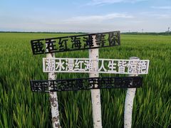 -红海滩国家风景廊道