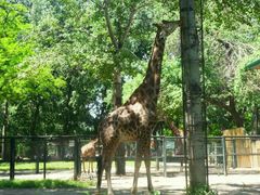 -石家庄市动物园