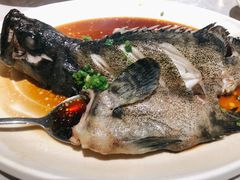 清蒸老虎斑-达叔香味海鲜(海棠68环球美食街店)