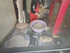 -非遗·十八曲鱼饺(西马总店)