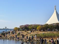-丁香湖公园
