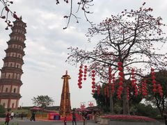 -广州莲花山旅游区
