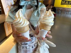 -麦当劳(长沙东风路店)