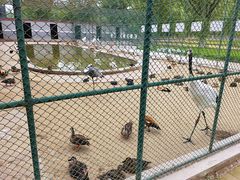 -哈尔滨北方森林动物园