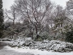-北京动物园