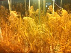 自助餐厅厕所外-自助火锅筷乐食代自助餐厅(金辰店)