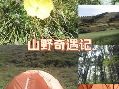 -芦芽山旅游度假区