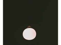 -知亘茶食