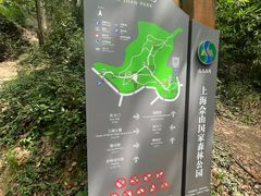 -上海佘山国家森林公园天马山园