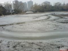 -紫竹院公园冰场