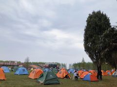 -黄海国家森林公园