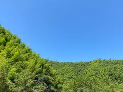 -老李家土菜馆·安吉地标美食