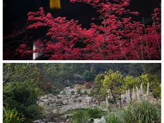 -黄陂区野村谷景区
