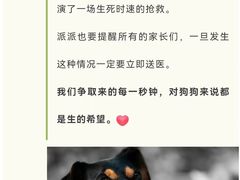 -瑞派申生动物医院·24H夜诊·国际动物医疗中心·骨外科(吴中路店)