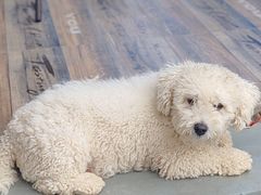 -乡乐园蟹庄·阳澄湖农家乐