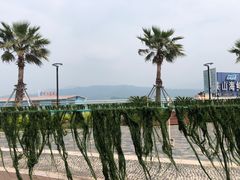 -强蛟群岛
