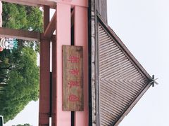 -上海都市菜园