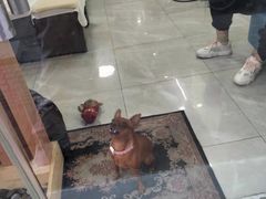 -爱脊康新中式推拿(江汉路步行街店)