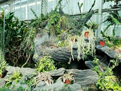-国家植物园南园
