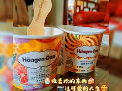 -哈根达斯(西安高新店)
