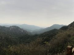 -大岭沟猕猴桃谷风景区