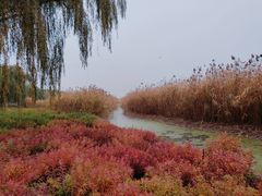 -健龙森俱乐部·游泳·健身·羽毛球综合体育馆