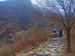 -阳台山自然风景区
