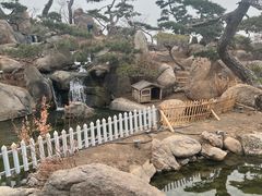 -罗红摄影艺术馆