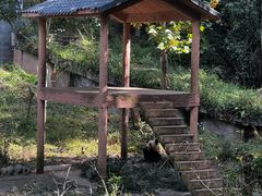 -中国大熊猫保护研究中心雅安碧峰峡基地