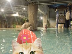 -巴斯漫温泉汗蒸馆(贡湖大道店)
